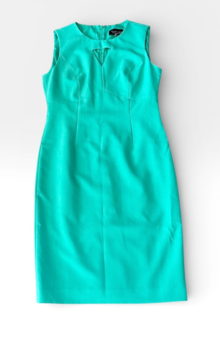 Black Label by Evan Picone Preowned great condition Size 4 Green Dress